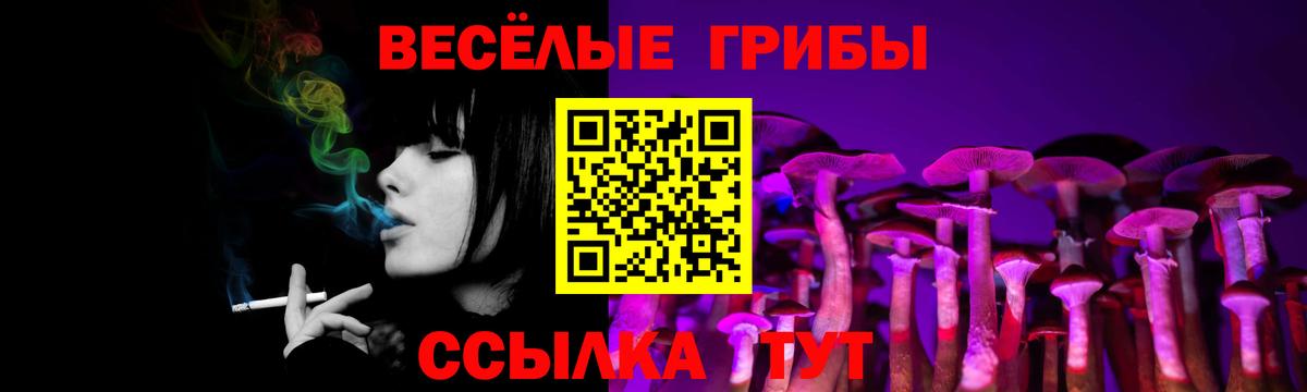 Псилоцибиновые грибы прущие грибы  Вход с VPN  Щёлково 